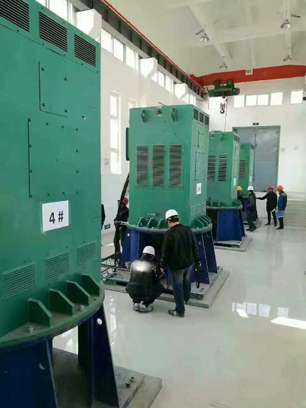 薛城某污水处理厂使用我厂的立式高压电机安装现场